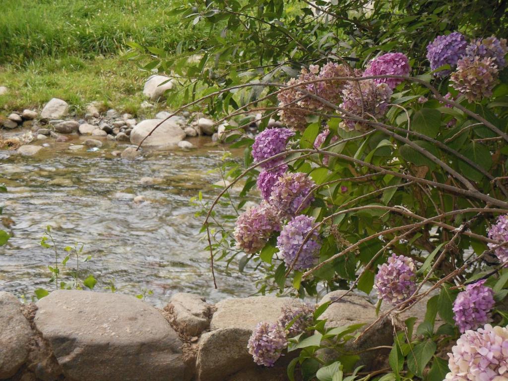 Отель Au Bord De L'Eau Сети-Фатма Экстерьер фото